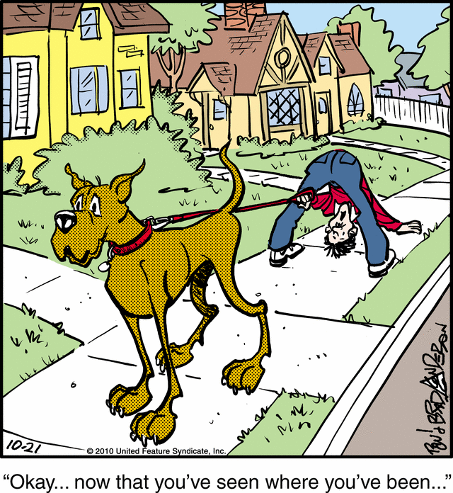 marmaduke